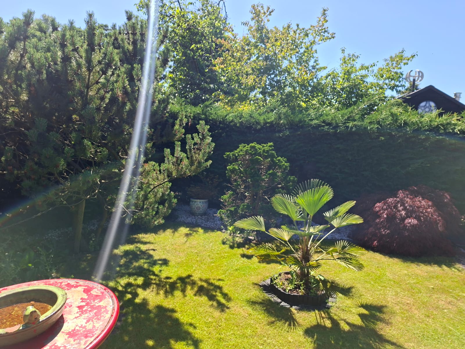 Tuin 56