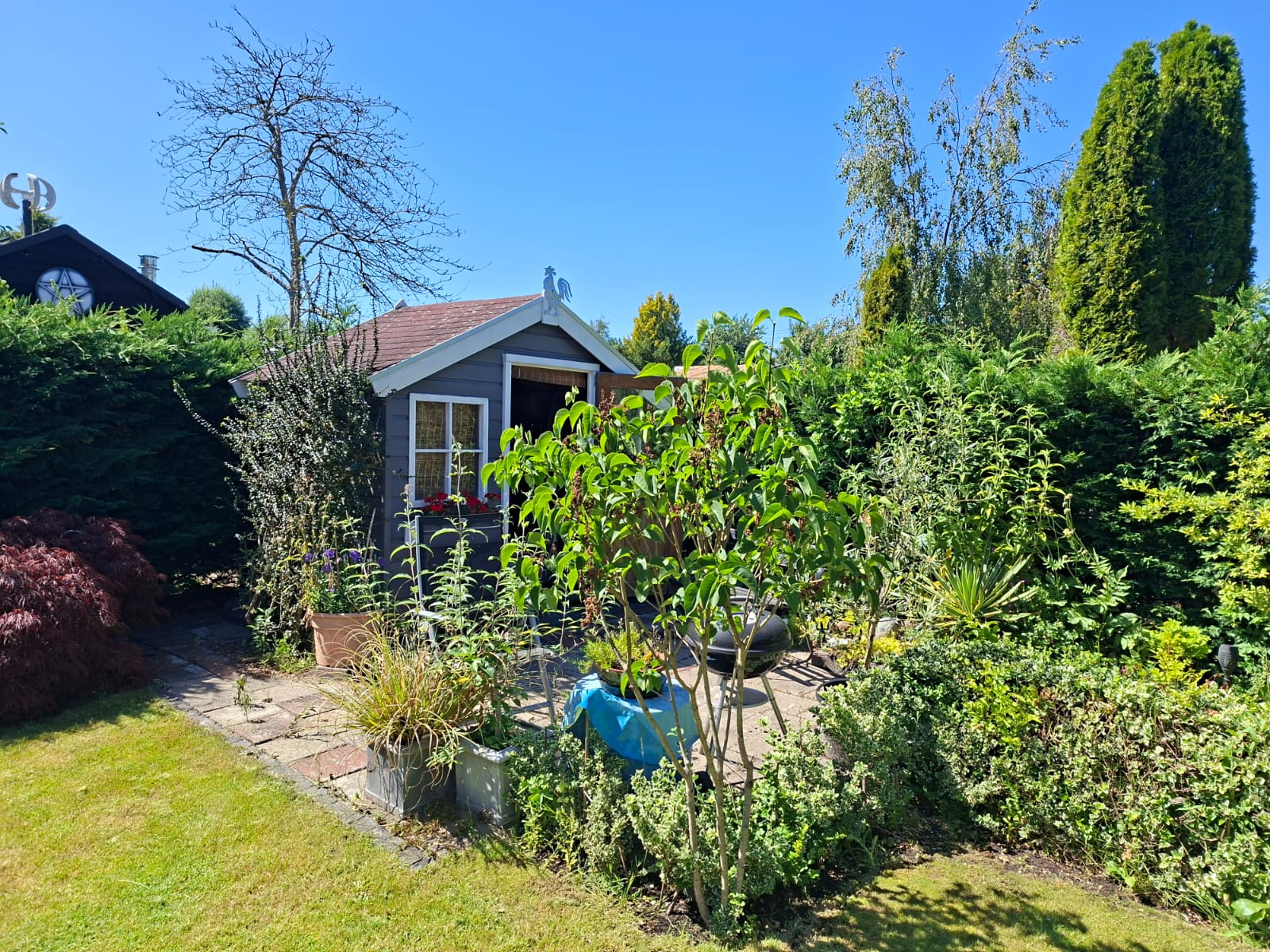 Tuin 56