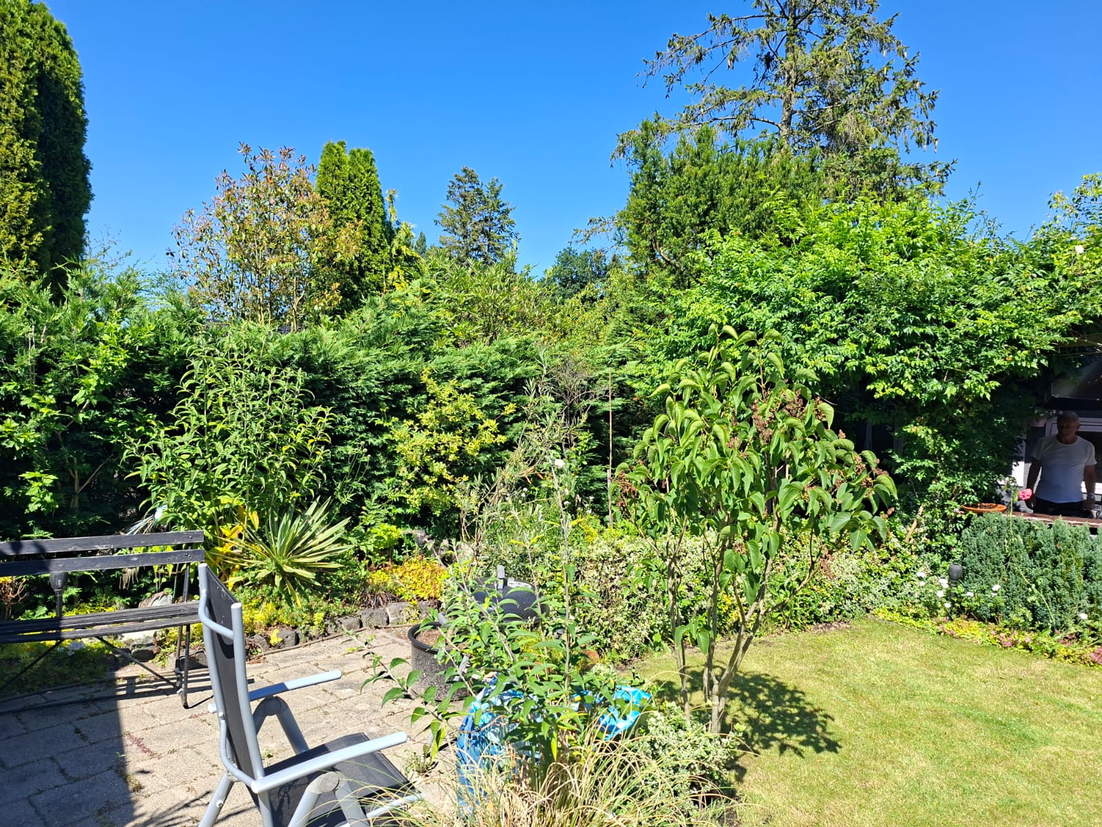 Tuin 56