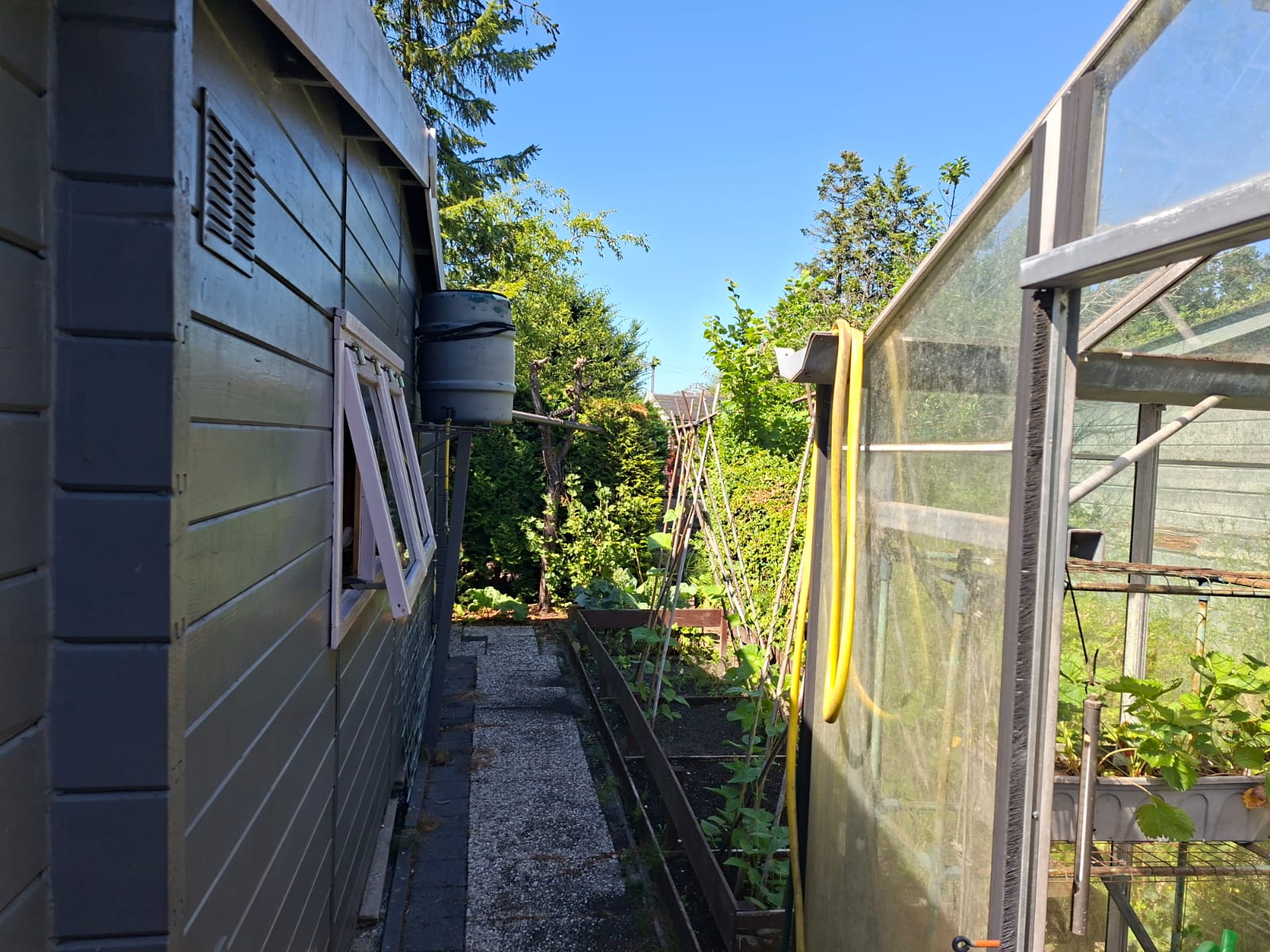 Tuin 56