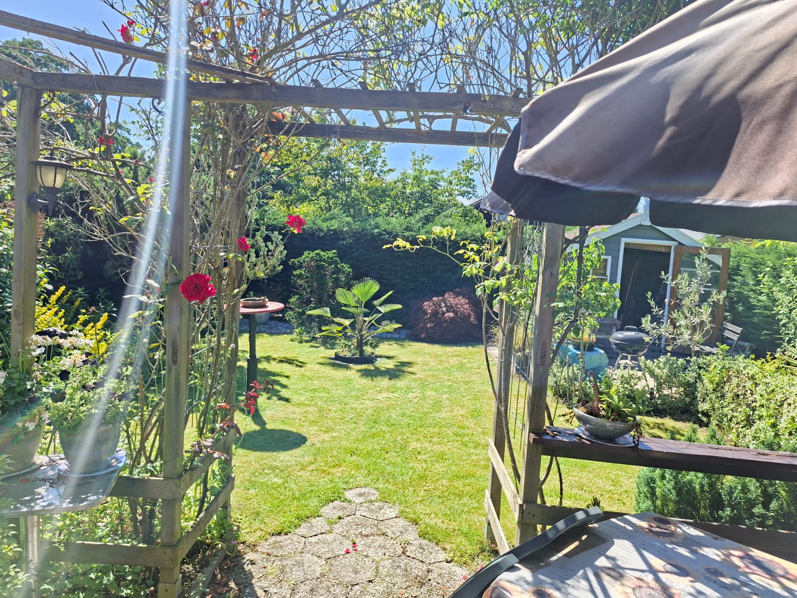 Tuin 56
