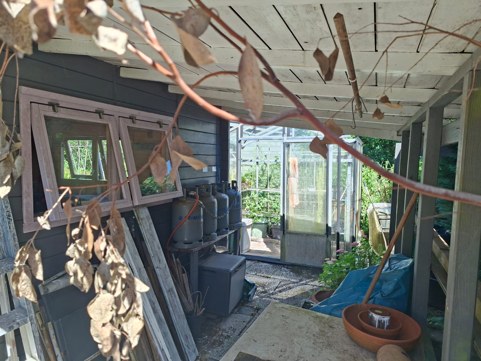 Tuin 56